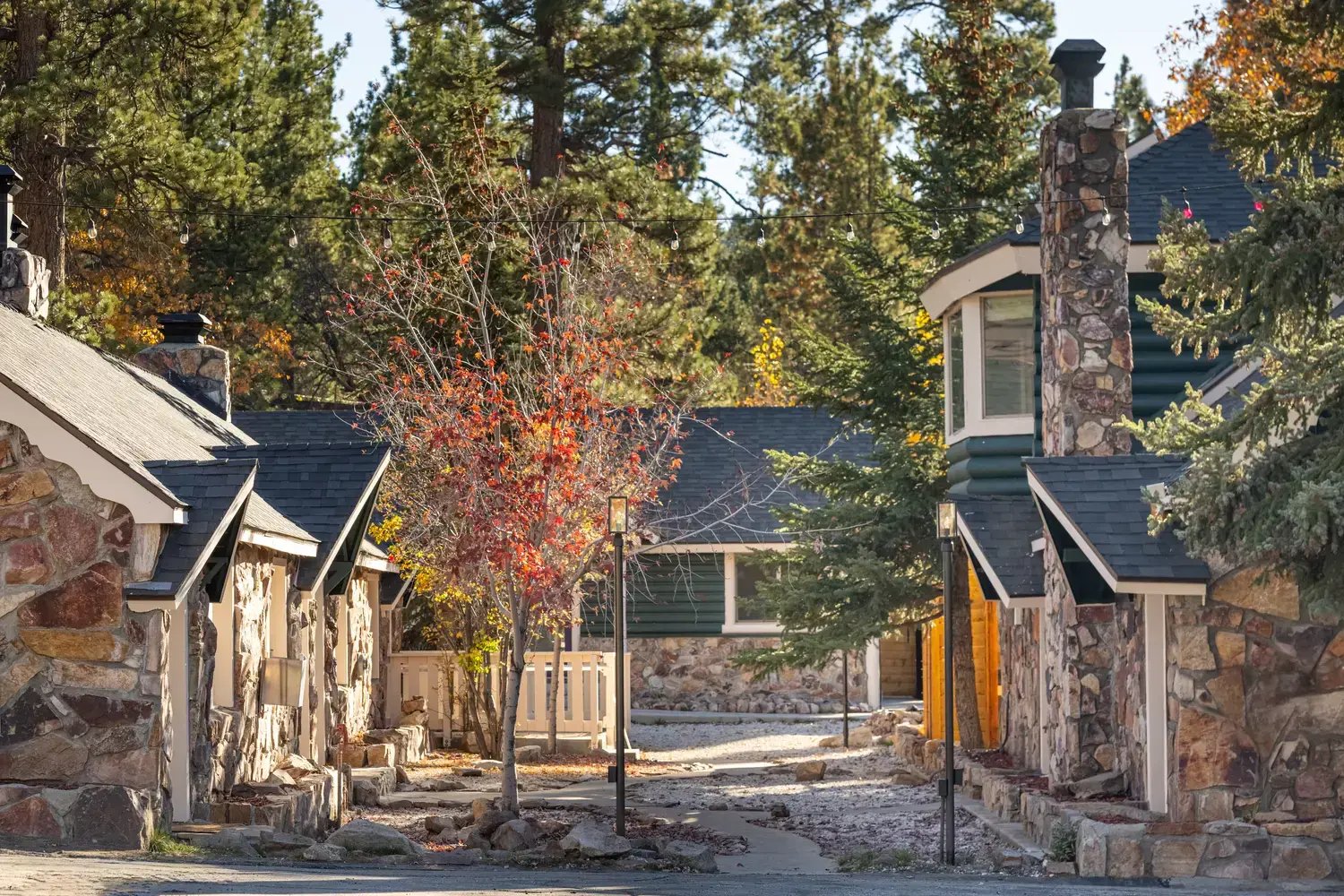 2025-11-04-Arkouda_Cabins-039