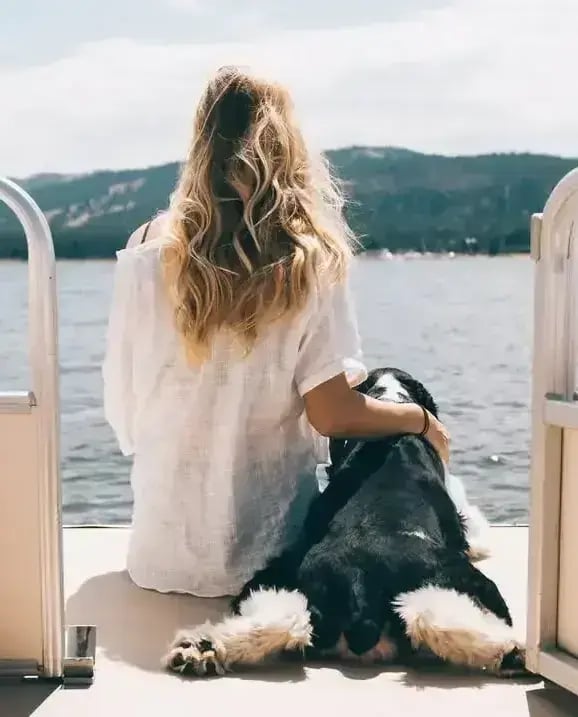 SaveClip-App_680772179_17878846623563610_663146897403172945_n